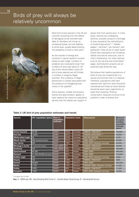 BIRDS OF PREY IN THE UK - RSPB