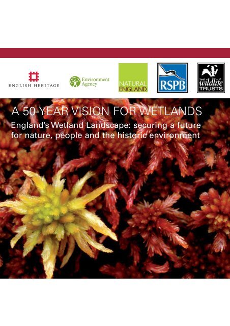 A 50-YEAR VISION FOR WETLANDS - RSPB
