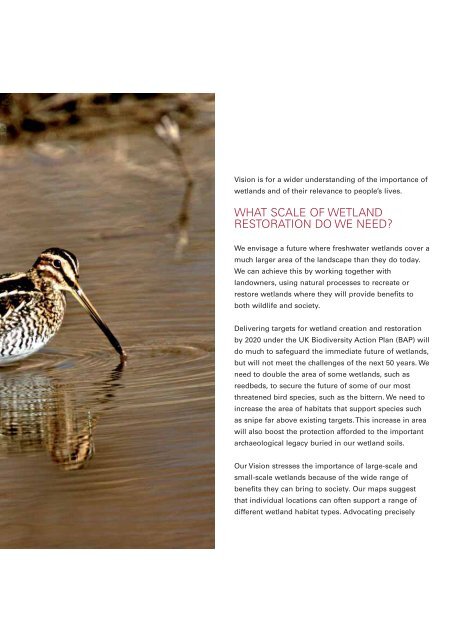 A 50-YEAR VISION FOR WETLANDS - RSPB