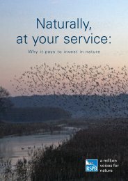 Naturally, at your service: - RSPB