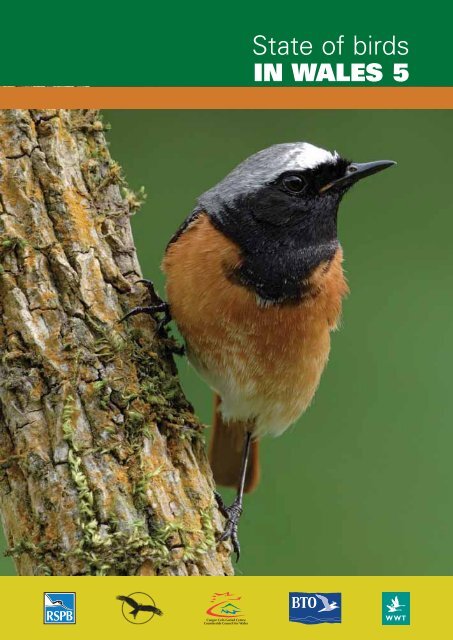 State of birds IN WALES 5 - Welsh Ornithological Society