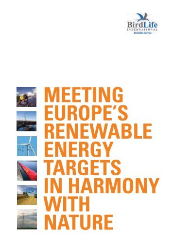 Meeting Europe's renewable energy targets in harmony with - RSPB