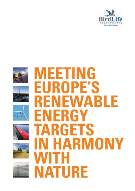 Meeting Europe's renewable energy targets in harmony with - RSPB