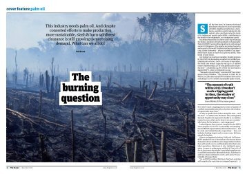 The burning question - Roundtable on Sustainable Palm Oil