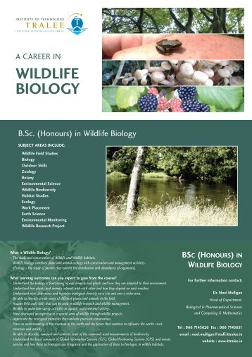 WILDLIFE BIOLOGY