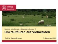 Unkrautfluren auf Viehweiden - Ruderalvegetation