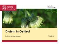 Disteln in Osttirol