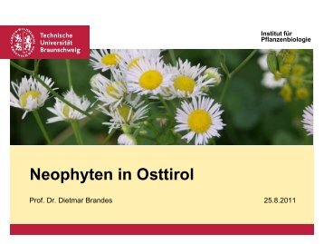 Neophyten in Osttirol - Ruderalvegetation