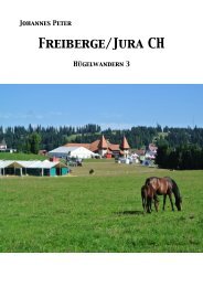 Freiberge/Jura CH