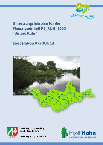 Umsetzungsfahrplan PE_RUH_1000 - ErlÃ¤uterungsbericht - Ruhr