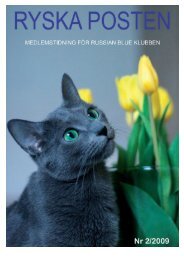 2/2009 - Russian Blue Klubben