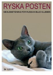 HÃ¤r finns nr 1/2008 - Russian Blue Klubben