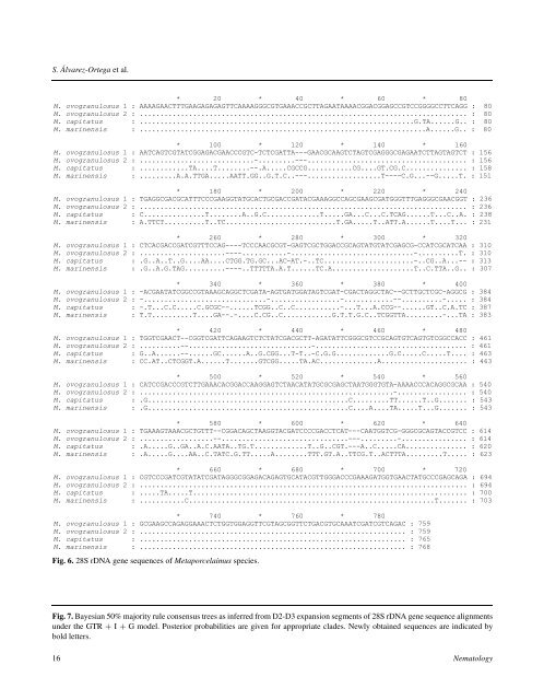 Morphological and molecular characterisation of Californian species ...