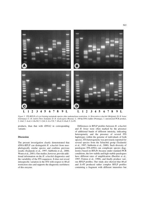 Identification of the beet cyst nematode Heterodera schachtii by PCR