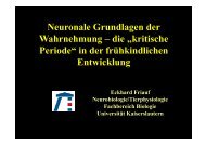 die „kritische Periode“ - Fachbereich Biologie der Universität