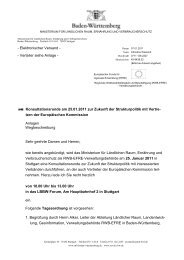 Einladung Konsultationsrunde EU Strukturpolitik 25.01.2011.pdf