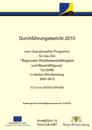 DurchfÃ¼hrungsbericht 2010 - RWB-EFRE - Baden-WÃ¼rttemberg