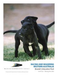 GREYHOUND RACING