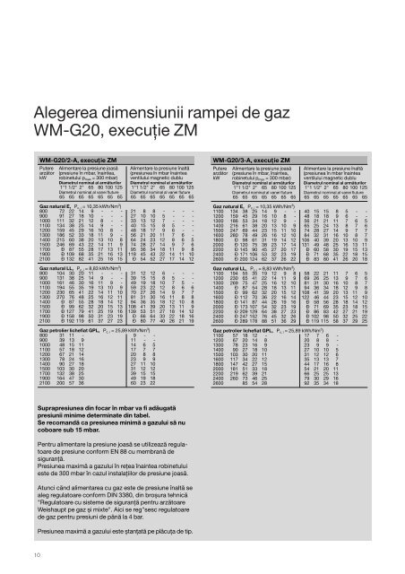 4. Prospect arzatoare Weishaupt pe Gaz WM G 20