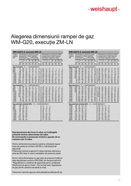 4. Prospect arzatoare Weishaupt pe Gaz WM G 20