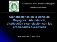 Cianobacterias en la Bahía de Mayagüez y su relación con las ...