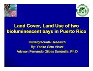 Land Cover, Land Use of two bioluminescent bays in Puerto Rico