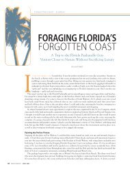 Foraging Florida's Forgotten Coast - Lissa Poirot