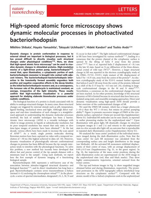 High-speed atomic force microscopy shows dynamic molecular ...