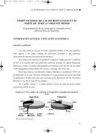 visiÃ³n general de las microfinanzas en el norte de Ã¡frica y oriente ...