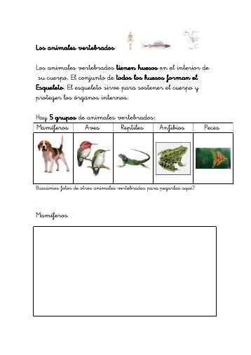 Los animales vertebrados - Aula PT