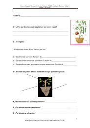 EXAMEN UNIDAD 7. LAS PLANTAS. Aljibe 1. - Aula PT