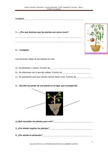 EXAMEN UNIDAD 7. LAS PLANTAS. Aljibe 1. - Aula PT