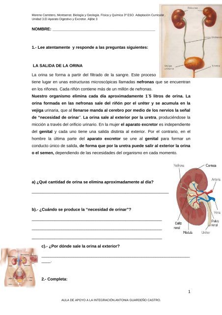 EXAMEN Unidad 3.El Aparato Digestivo y Excretor. Aljibe 3 - Aula PT