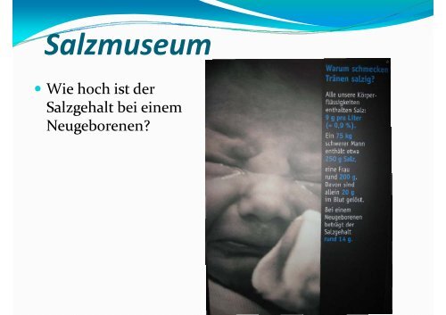 S lazmuseum - Sachunterricht Petersen