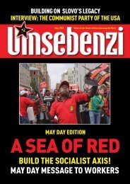 A sea of red - South African Communist Party