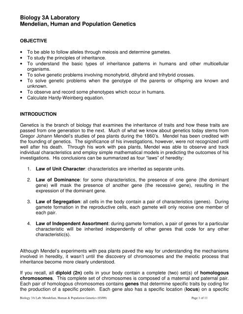 Biology 3A Laboratory Mendelian, Human and Population Genetics