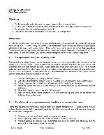 ap biology transpiration lab essay Rainbeau ap bio 1 name_____ date_____ period_____ lab: whole plant transpiration lab objective the major survival challenge for terrestrial (land) plants is the loss of water to the environment through transpiration transpiration is the evaporation of water from a plant’s surface, most typically through its. ap biology transpiration lab essay Rainbeau ap bio 1 name_____ date_____ period_____ lab: whole plant transpiration lab objective the major survival challenge for terrestrial (land) plants is the loss of water to the environment through transpiration transpiration is the evaporation of water from a plant’s surface, most typically through its.