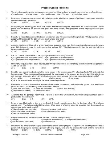 Genetics Practice Problems Simple The Biology Corner