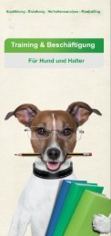 Hundetrainer - Hundeschule - Flyer 