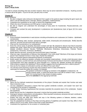 nrc 261 exam 2 study guide Gamma radiation safety study guide, second edition this study guide presents fundamental information intended to assist the candidate preparing for the asnt industrial radiography radiation safety personnel (irrsp) examination. nrc 261 exam 2 study guide Gamma radiation safety study guide, second edition this study guide presents fundamental information intended to assist the candidate preparing for the asnt industrial radiography radiation safety personnel (irrsp) examination.