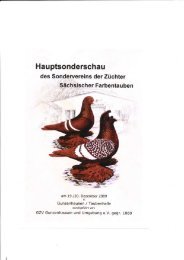 Katalog Gunzenhausen 2009 als PDF - SV Sächsische Farbentauben