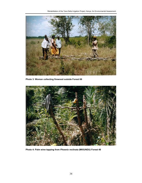 Tana Delta Irrigation Project, Kenya: An Environmental Assessment