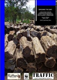 Bridging the Gap: linking timber trade with infrastructural ...
