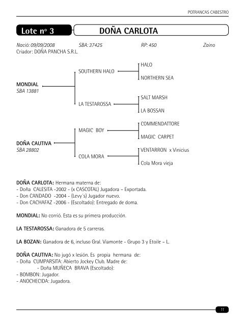 Remate de otoÃ±o - AsociaciÃ³n Argentina de Criadores de Caballos ...