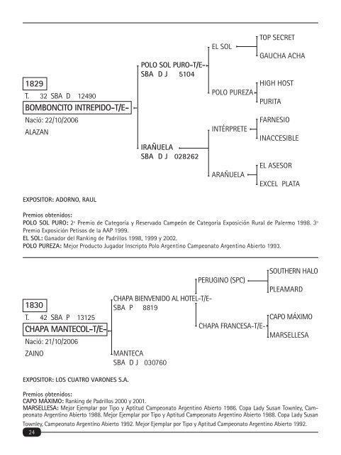 Untitled - AsociaciÃ³n Argentina de Criadores de Caballos de Polo