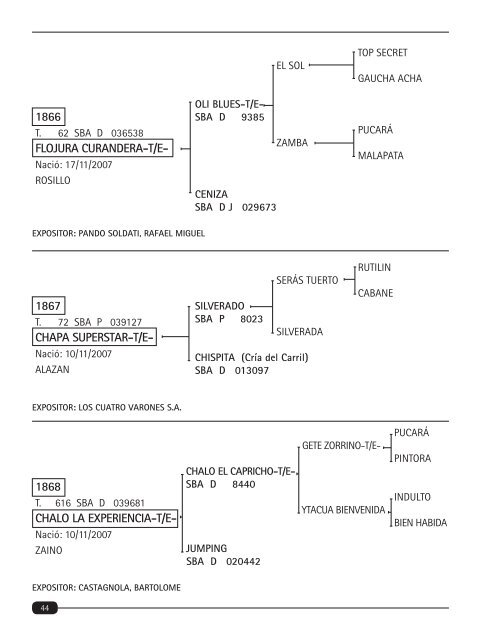 Untitled - AsociaciÃ³n Argentina de Criadores de Caballos de Polo