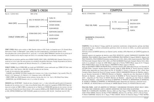 Lote nÂº - AsociaciÃ³n Argentina de Criadores de Caballos de Polo