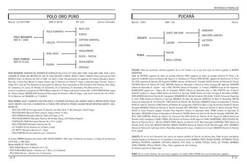 Lote nÂº - AsociaciÃ³n Argentina de Criadores de Caballos de Polo