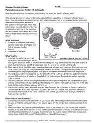 CO Student Worksheet - Spark