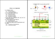 TEMA 5. EL TIRISTOR